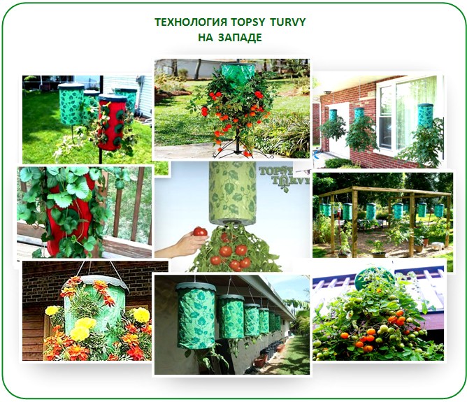 Технология Topsy Turvy