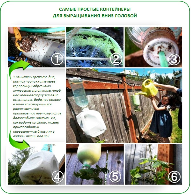 Контейнеры для выращивания вверх ногами