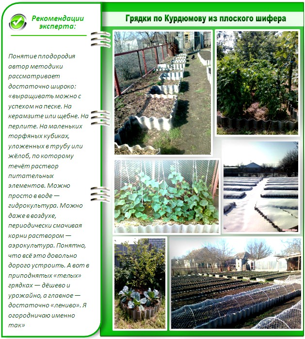 Так выглядят гряды по Курдюмову
