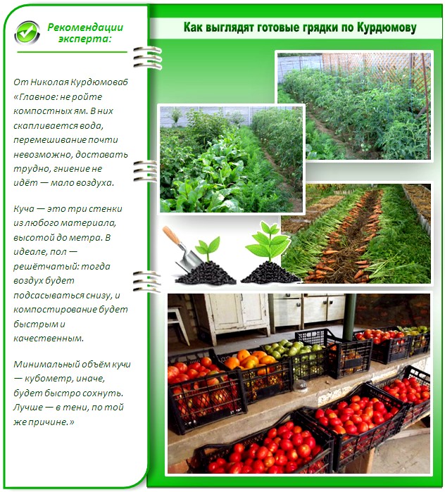 Урожай с грядок Курдюмова