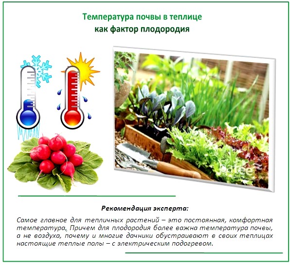 Температура почвы в теплице