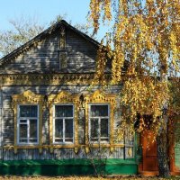 Скрытая угроза: почему нельзя сажать березу возле дома
