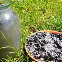 4 способа приготовления и эффективного использования удобрений из золы