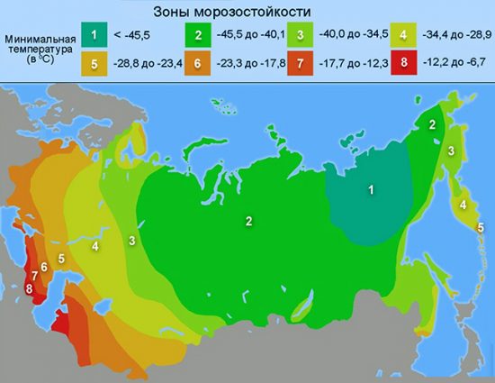 Зоны морозостойкости растений