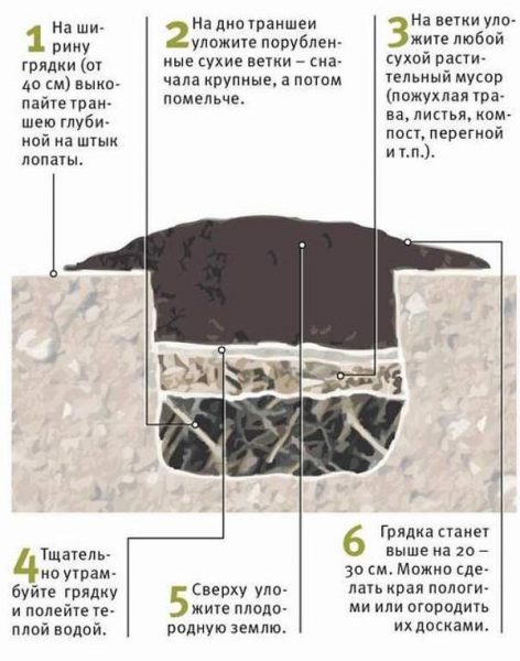 Грядка-траншея для клубники