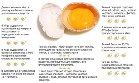 Список полезных веществ в яйце