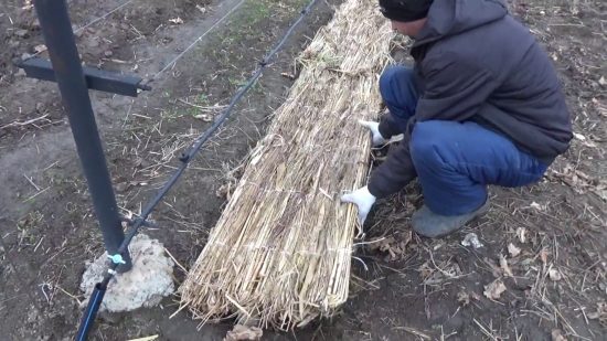 Укрытие камышовыми матами